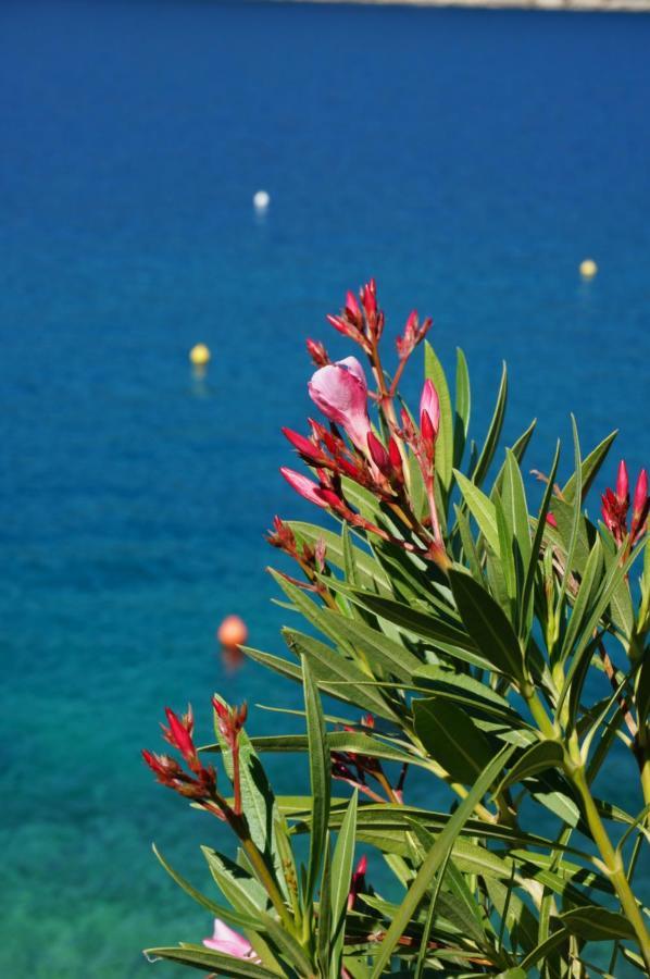 Apartment Suzie Q - Intermezzo With Sea View ラバック エクステリア 写真